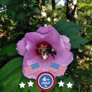 Meet your Posher, Richard